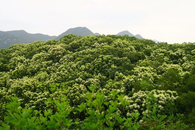 流水響、鶴藪水塘