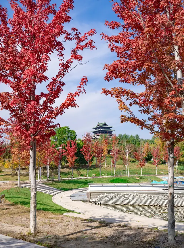 京都の最初の秋のメープルシーンが美しく、世界庭園公園の観光ガイドを見逃さないでください