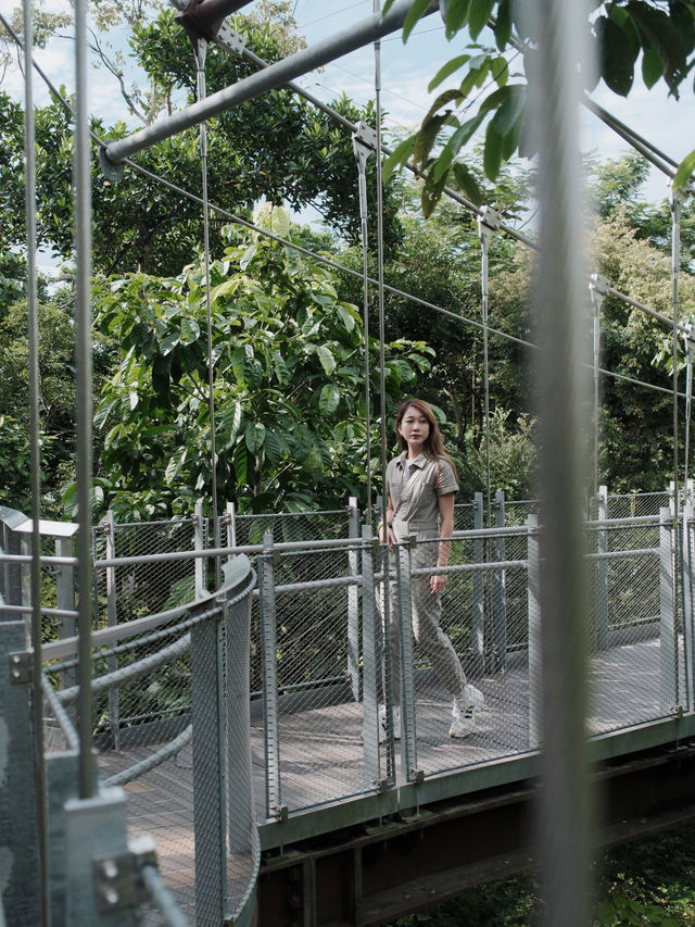 新加坡旅行值得花一天超出片的動物園