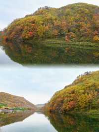 丹東賞秋，一定要去天橋溝，層林盡染，美不勝收