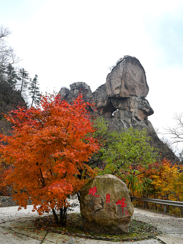 丹東賞秋，一定要去天橋溝，層林盡染，美不勝收