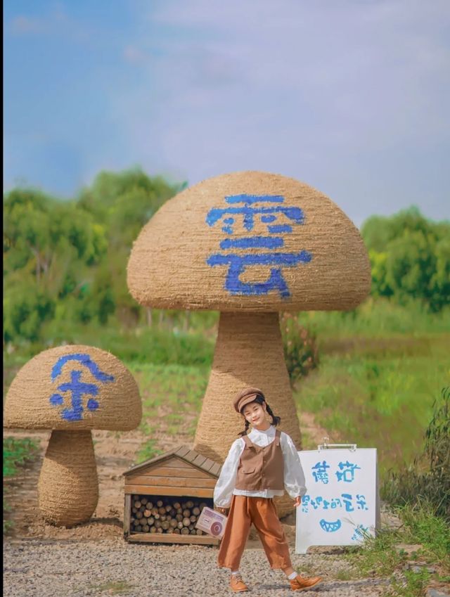 金秋時節