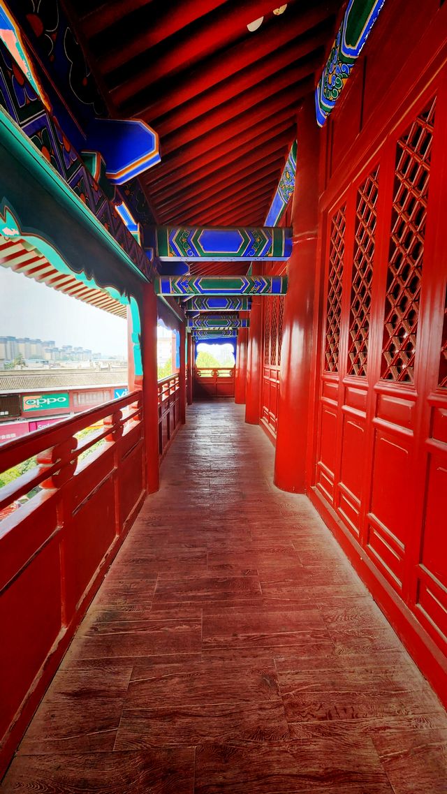 益起趣秋遊丨鄠邑區博物館 益起趣秋遊丨鄠邑區博物館