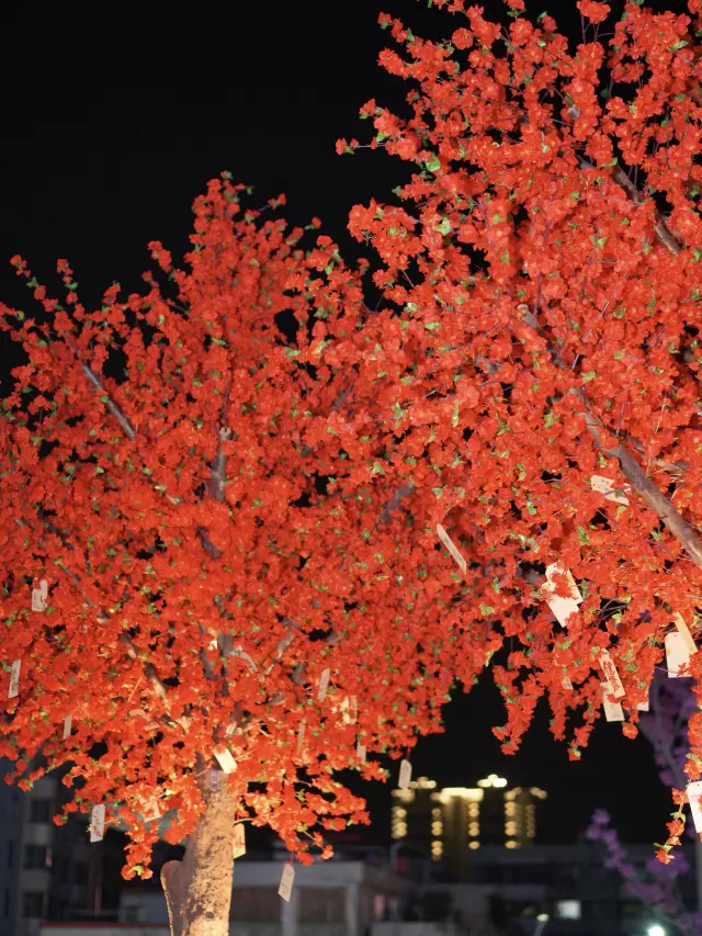 พาเพลินกับ Popeye ที่ Zhongshan Vientiane City ที่เข้าใจวัยเด็กของเรา