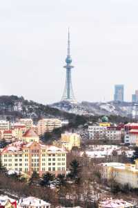 雪後的信號山公園究竟有多好拍