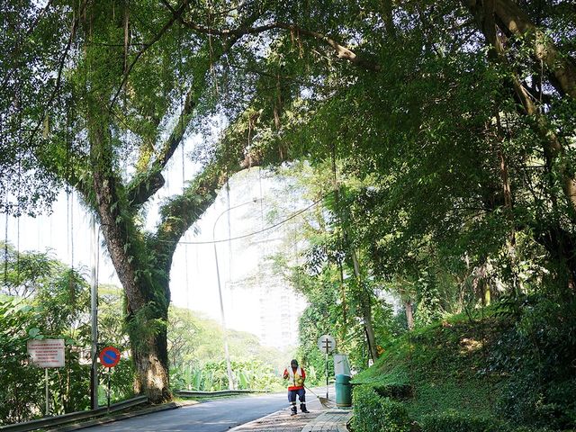 🇲🇾吉隆坡漫遊