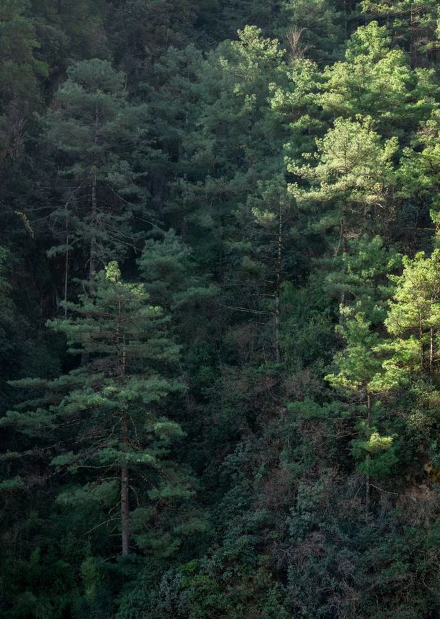苍山！清碧溪徒步