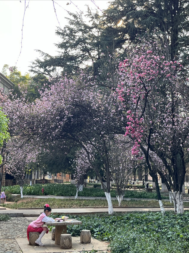 國保打卡：雲南大學會澤院（國八）