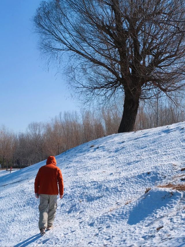 別懷疑這座雪山真的在鄭州