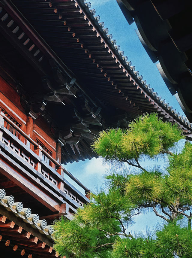 寶山寺｜晚唐遺韻還是晚唐“疑雲”