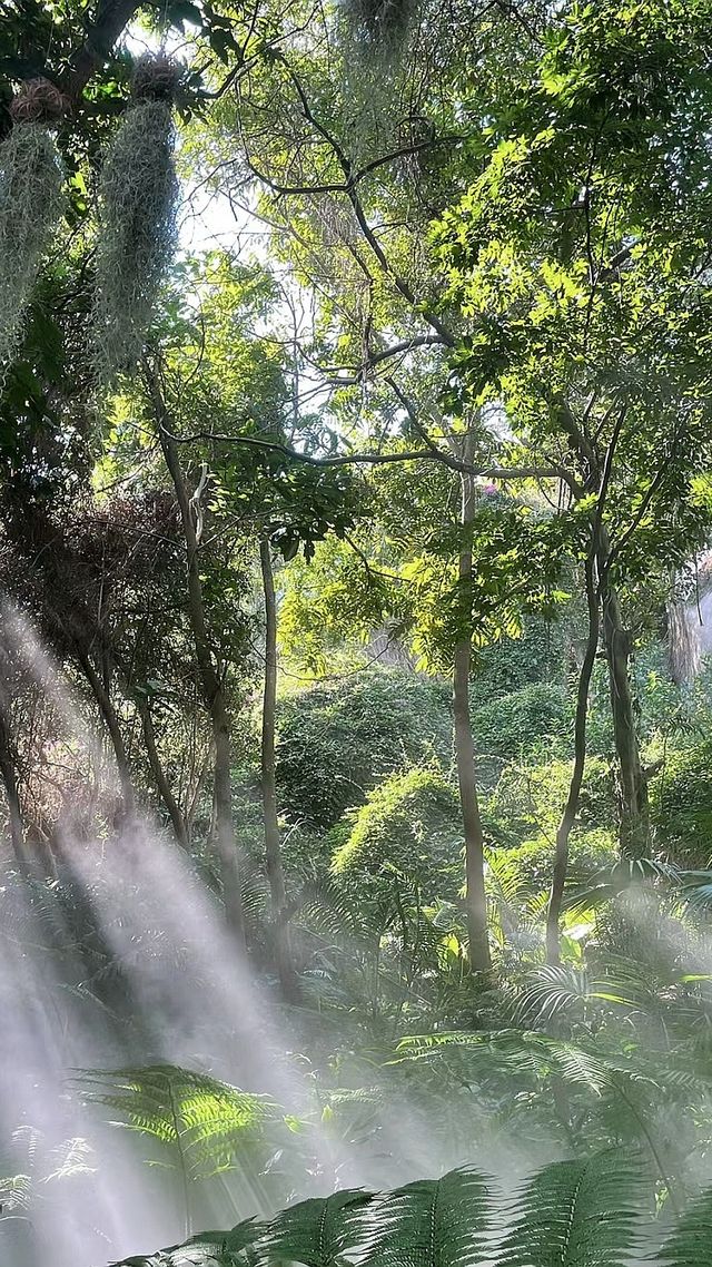 植物園美爆了超級出片！我在廈門等你！