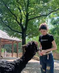 上海野生動物園值不值得去
