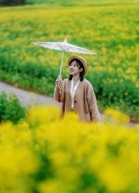 桠溪慢城｜南京最美油菜花海賞花攻略