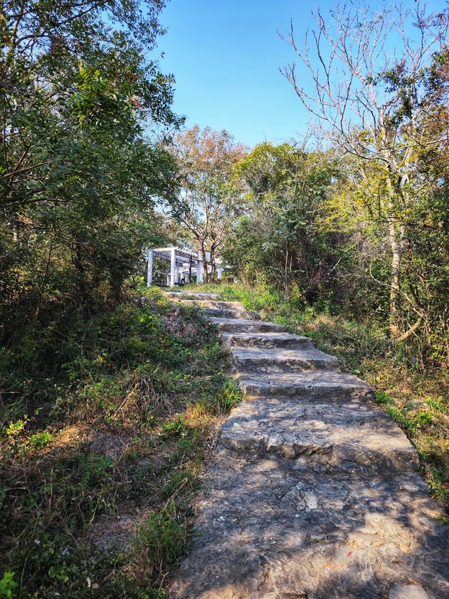 鎮江｜城市山林 南山風景區