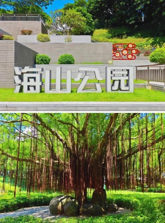 遛娃免費人少可以看海騎行的好去處||美爆了