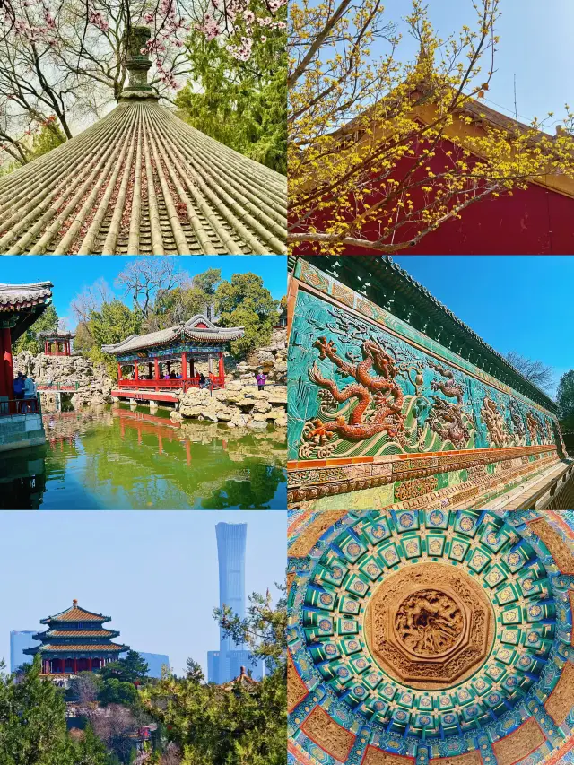 Beihai Park is in full bloom｜Peach blossoms and magnolias welcome spring with a flourish