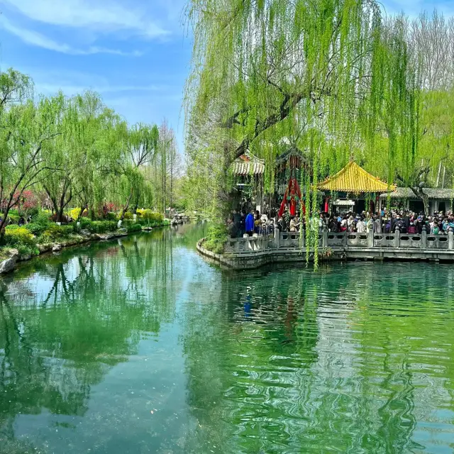 Jinan's spring is absolutely incredible