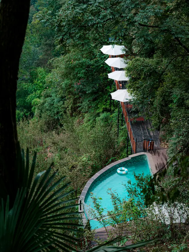Absolutely stunning! Qingcheng Mountain hides a forest cliff resort B&B