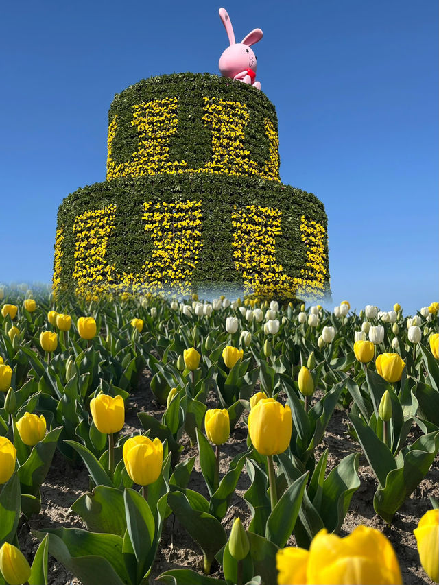 上海周邊遛娃｜奇蹟花園打卡好地方！