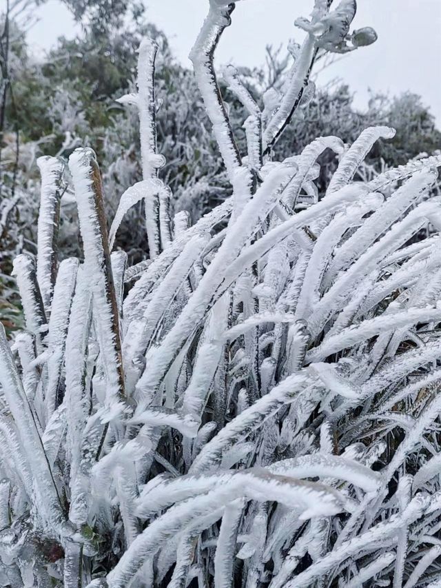 大容山雪冰景