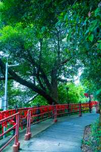 廣州周邊遊｜韶關雲門山2日遊