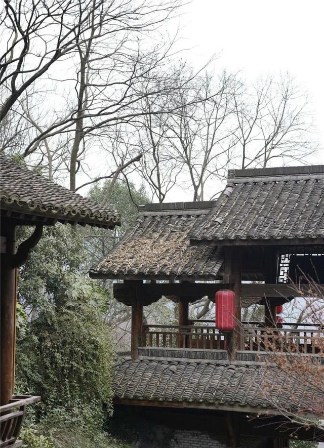 杭州小小眾景點—茶葉博物館（龍井館）