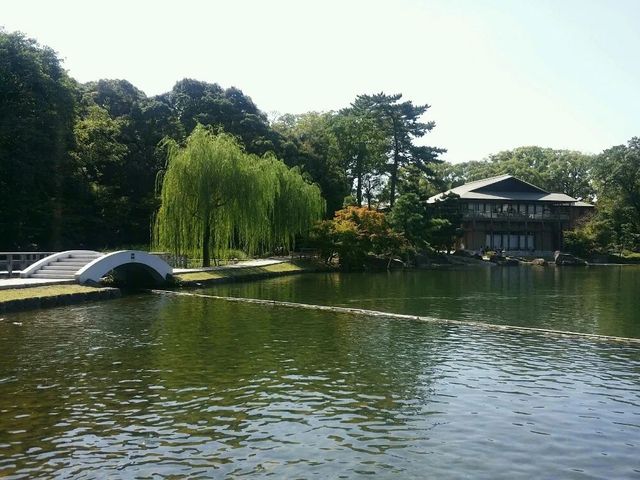 名古屋賞櫻
