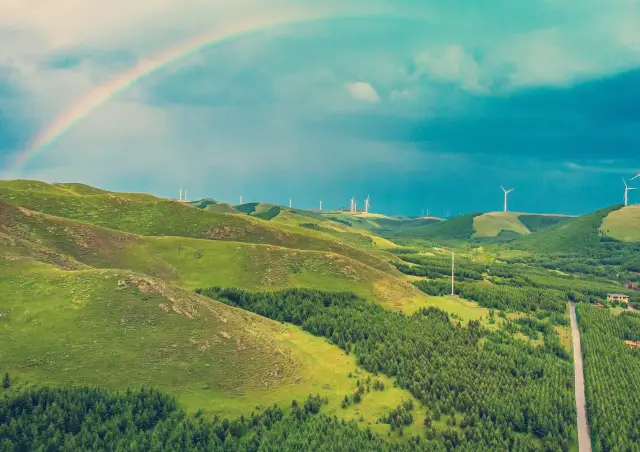 Chengde Bashang Fairy Valley Colorful Forest, a leisurely summer retreat for mushroom picking