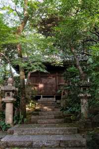 日本小眾旅行｜根津美術館，日式庭院的美術館值得打卡