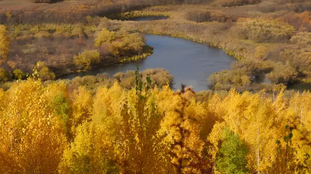The Autumn Colors of Ergun - Ergun Wetland