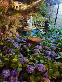 春日最愛這間「繡球小院」，安逸愜意森呼吸