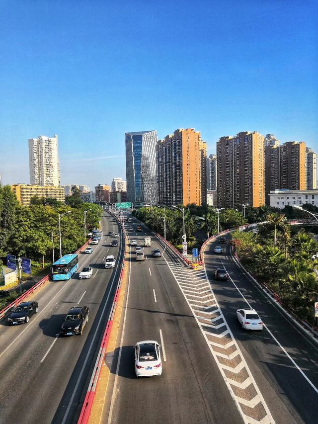 健康步道雲海線～狐尾山賞櫻