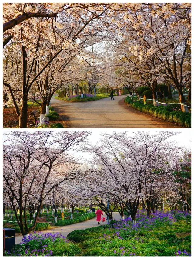 世紀公園，你玩得可真花啊‼️