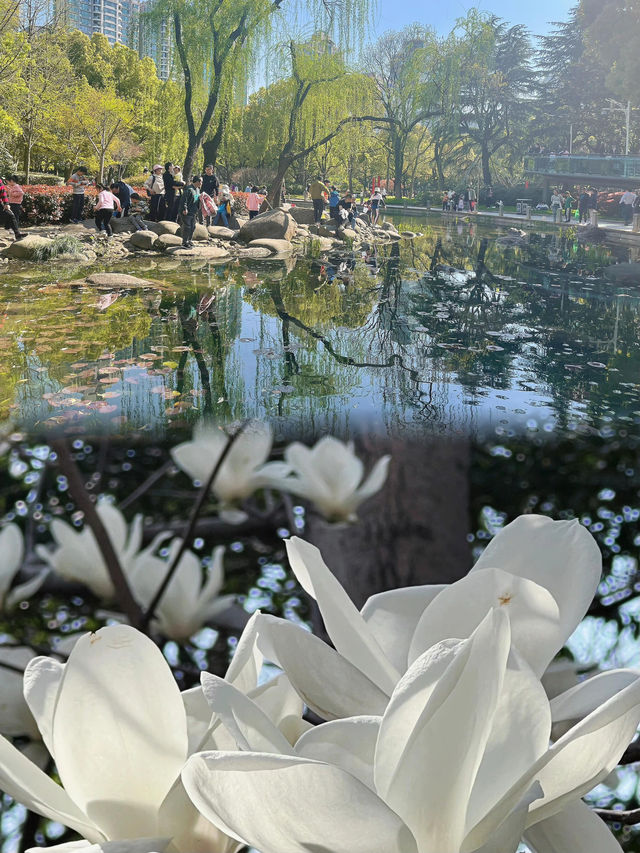 上海周邊，隨手拍｜徐匯版莫奈花園