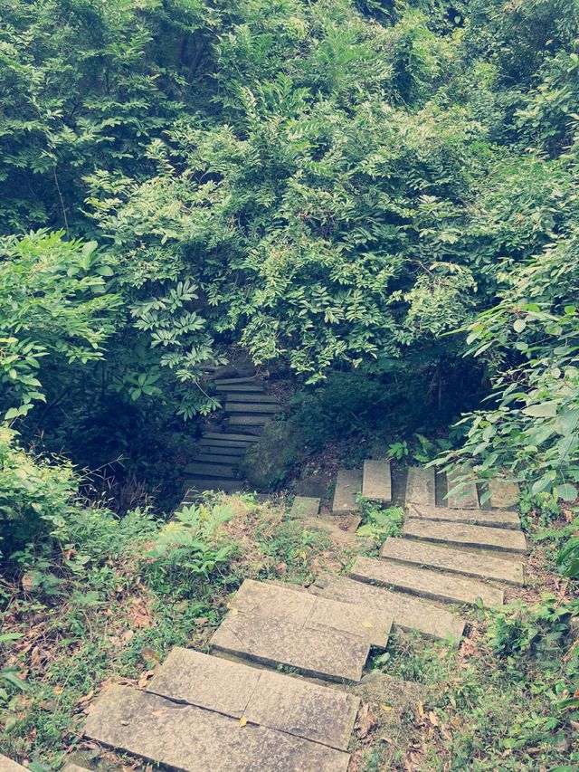 深圳徒步|週末來爬陽台山啦和我的爬山搭子日常