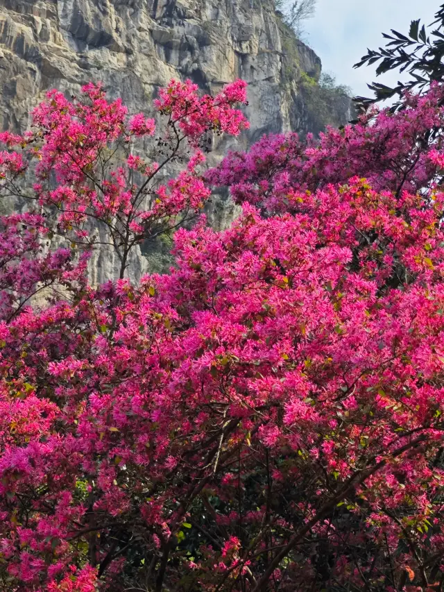 桂林南溪山公園之旅