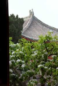 4月12日追花實況