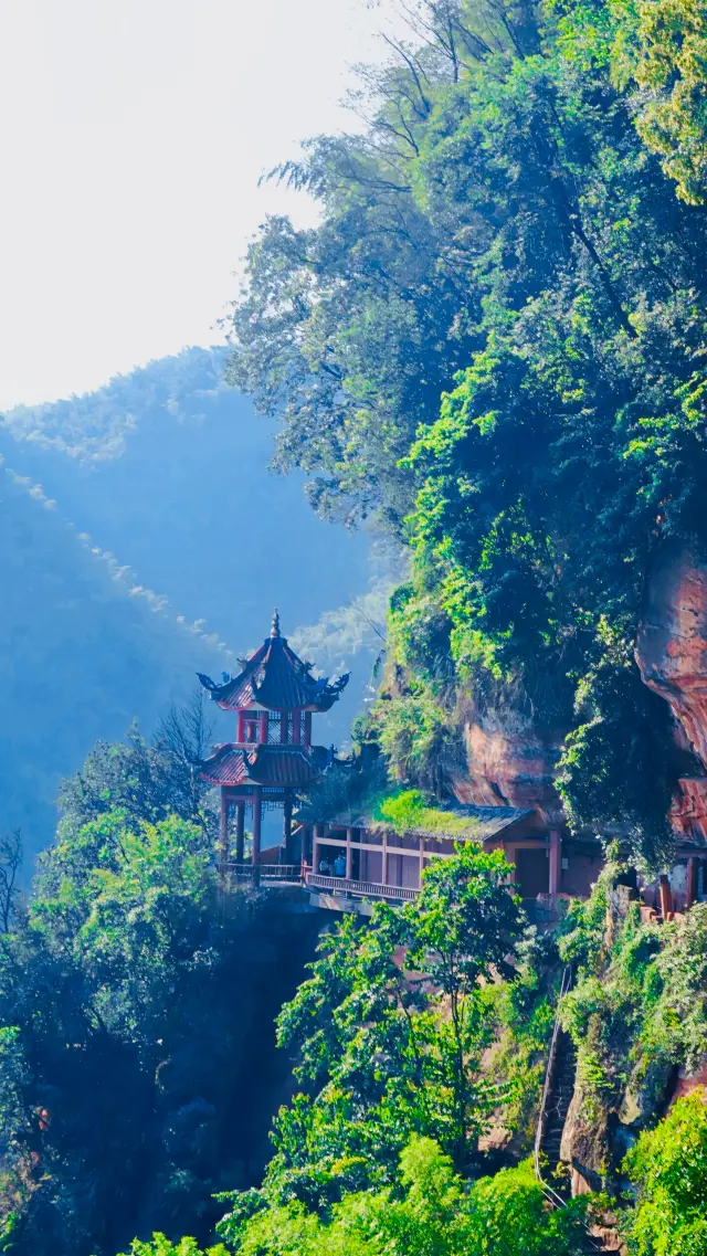 Living in Yibin || The Bamboo Sea of Southern Sichuan