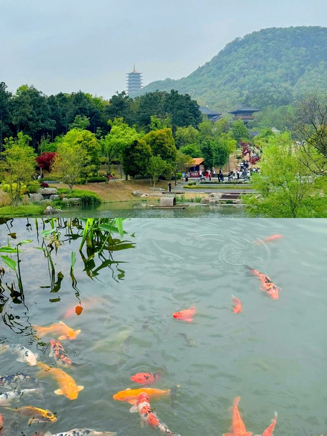 登牛首山，觀金陵全景，體驗佛教文化的深厚底蘊