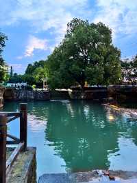春日旅途｜上海周邊私藏踏青攻略總結