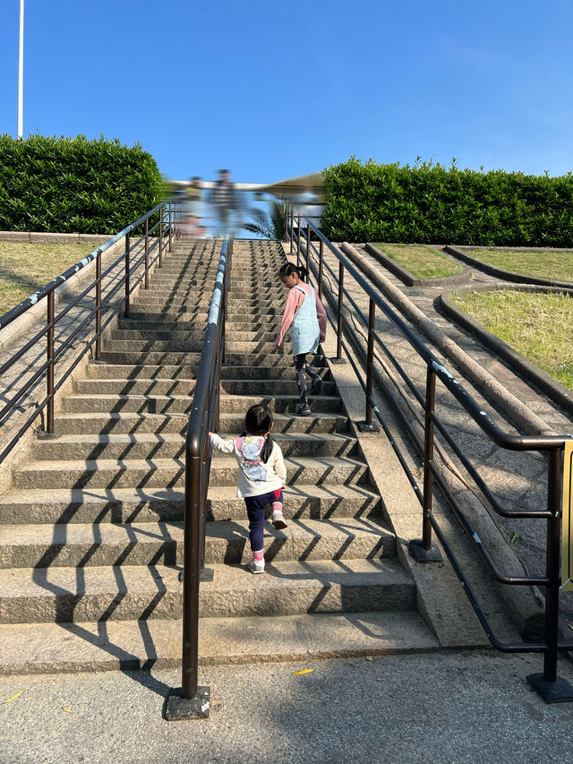 金山遛娃2日遊海上煙花+挖沙+漁村+田園