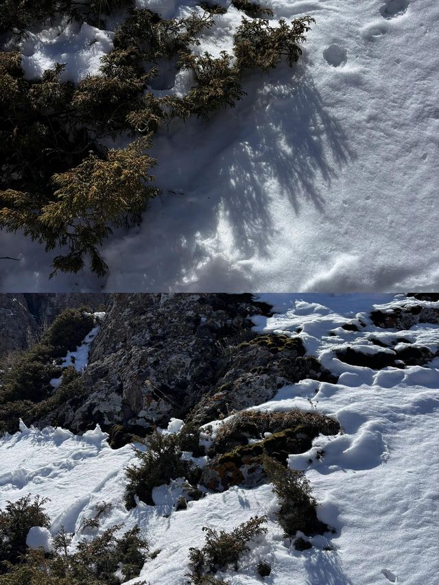 遺落在凡間的仙境，天山天池，不去後悔一輩子