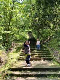 成都1h，穿越森林之門感受春和景明