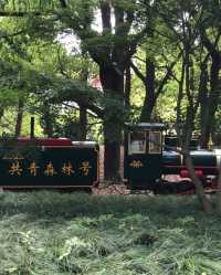 救命！姐妹們！上海共青森林公園，你們必須知道！