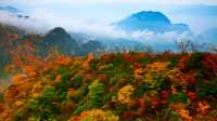秋季好去處-夢幻光霧山。