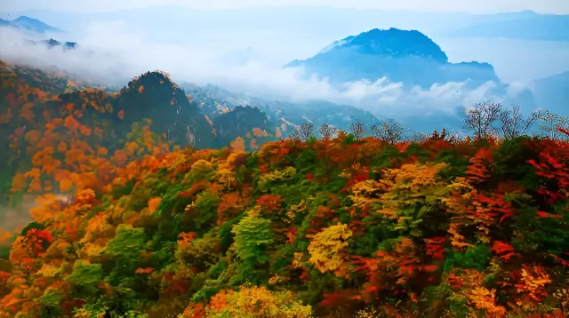 가을의 좋은 여행지-몽환의 광무산。