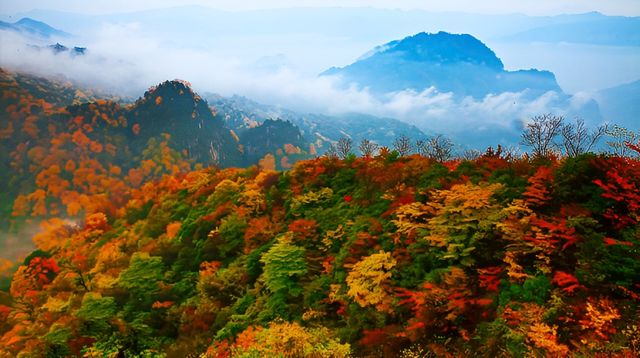 秋季好去處-夢幻光霧山。