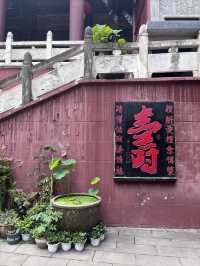 成都仙家重地！見到這隻鶴才算真正去過成都鶴鳴山