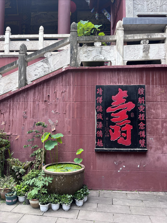 成都仙家重地！見到這隻鶴才算真正去過成都鶴鳴山