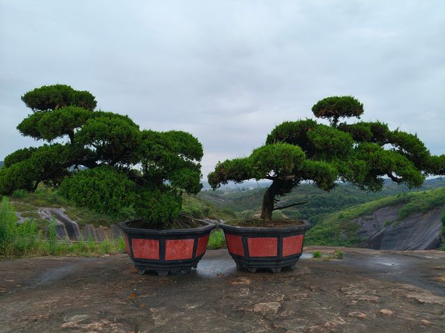 想看看美麗的高椅嶺景區嗎？